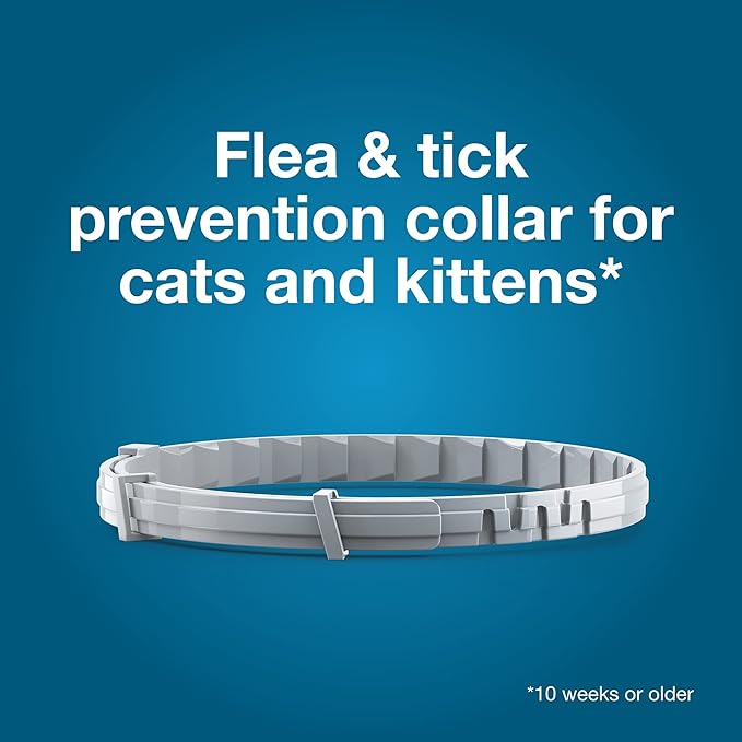 Seresto Large Dog + Cat Bundle | Vet-Recommended Flea & Tick Collars (8 Months Protection)