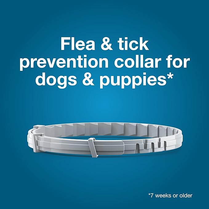 Seresto Large Dog Flea & Tick Collar 2-Pack – 8 Month Vet-Recommended Protection
