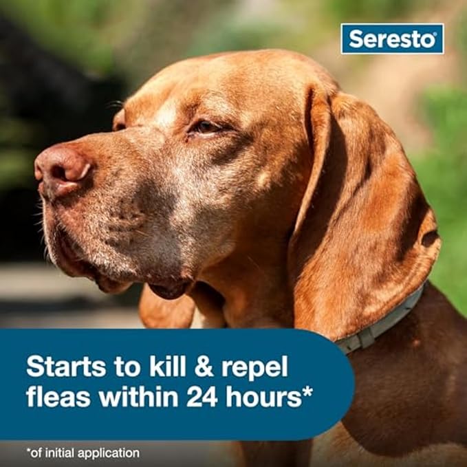 Seresto Large Dog Flea & Tick Collar – 8 Month Vet-Recommended Protection
