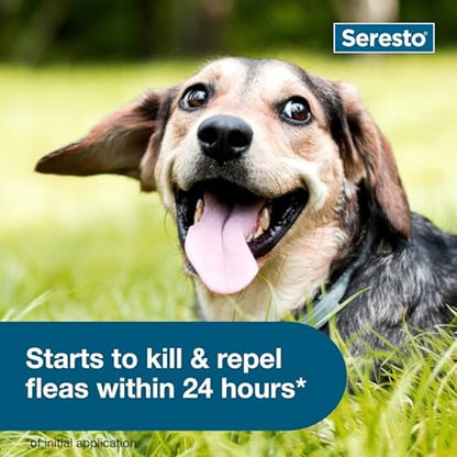 Seresto Small Dog Flea & Tick Collar – 8 Month Vet-Recommended Protection